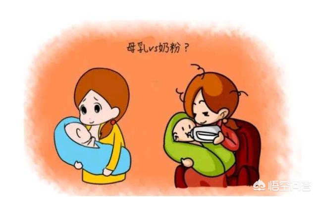 月薪 5 千 vs 月薪 2 万,不同预算奶粉选购方案 月薪 5 千 vs 月薪 2 万,不同预算奶粉选购方案